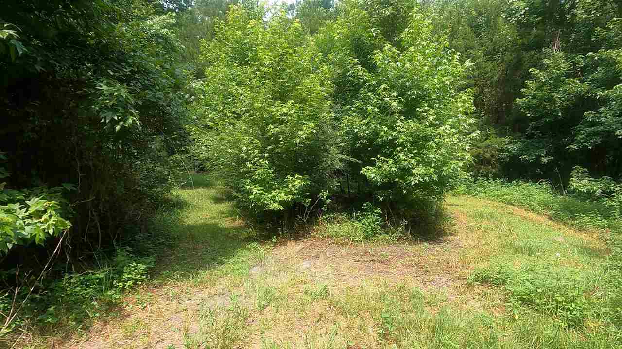 12344 Gamble Road Monticello, FL 32344 - Photo 3 of 8 Gallery Image 3