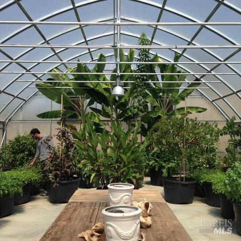 4707 Bloomfield Road Petaluma, CA 94952 - Photo 86 of 97 30ft x 60ft spacious Greenhouse.