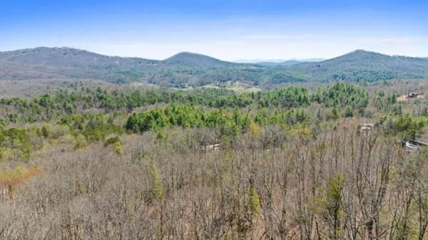 a view of a lush green forest with mountains in the background
