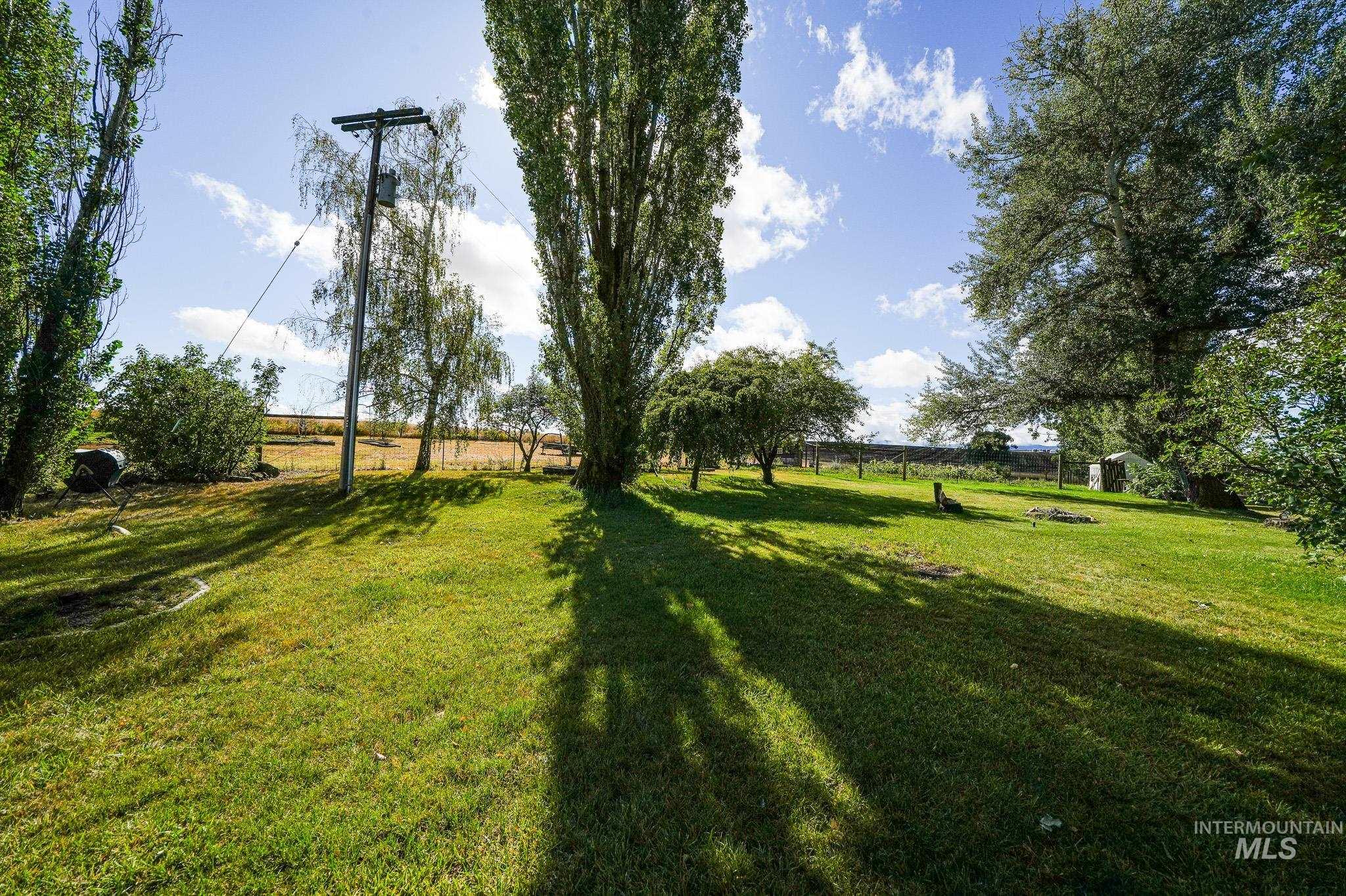 67 Jessup Road Grangeville, ID 83530 - Photo 27 of 49 Expansive grassy lawn with mature trees and a distant fence line