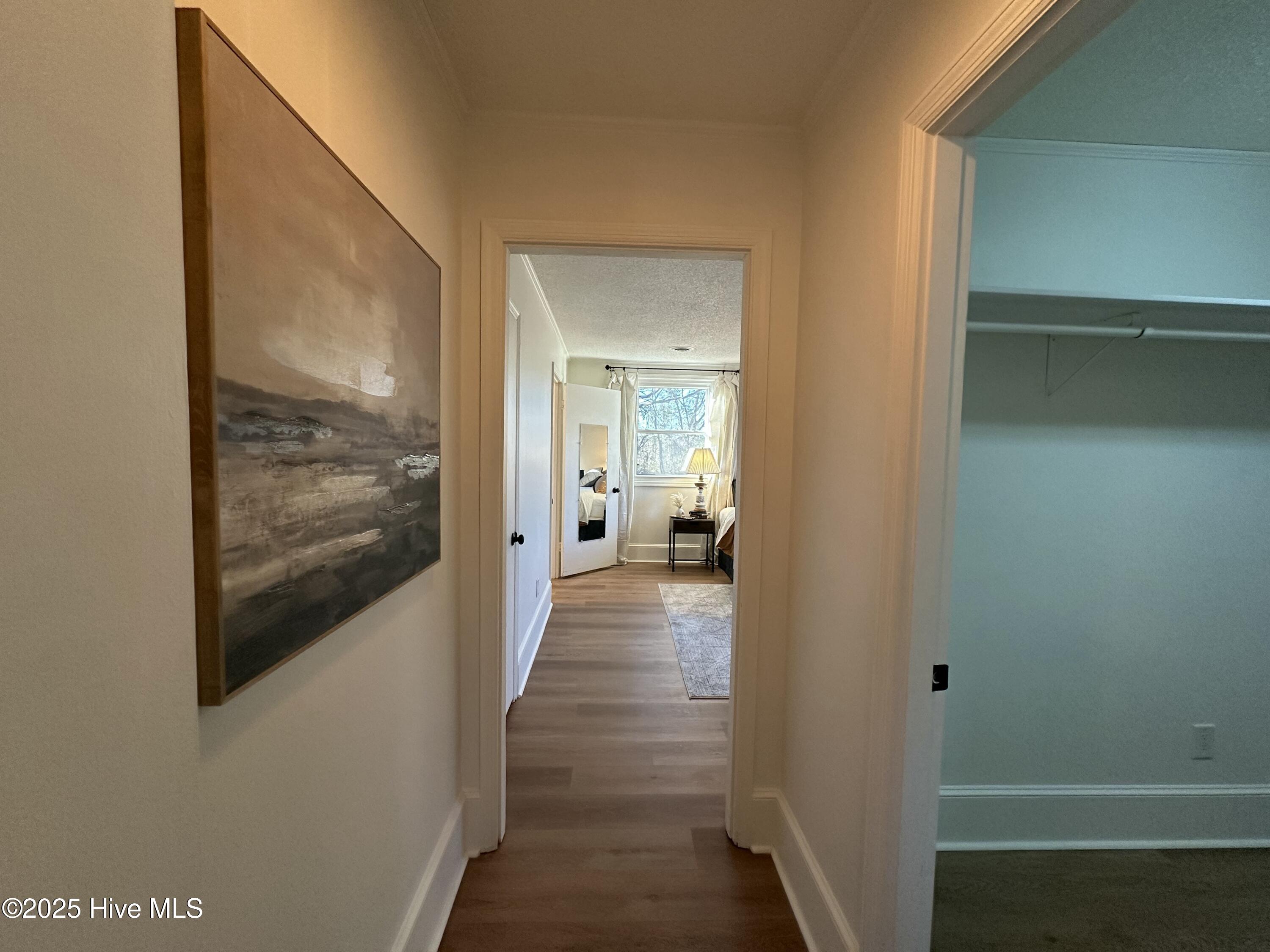 111 Asbury Road Cove City, NC 28523 - Photo 30 of 52 Master bedroom w walk-in closet to right