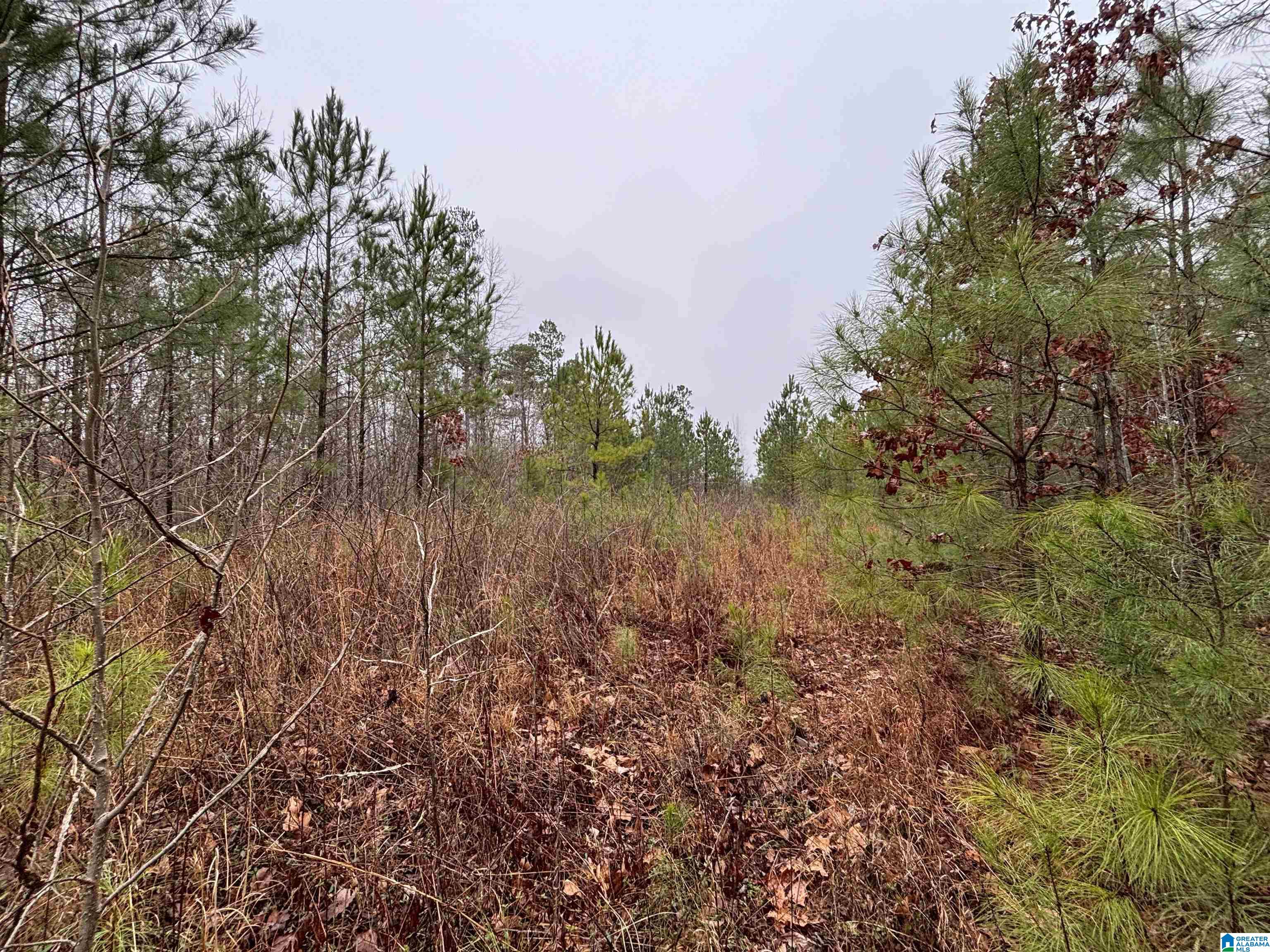 7380 Narrows Road, Unit 148 / ACRES Pinson, AL 35126 - Photo 19 of 22