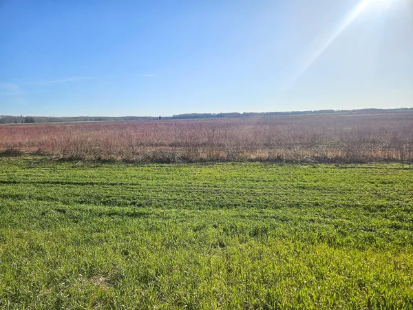 $274,999 | Tbd Tbd Tbd, Newfolden, MN 56738