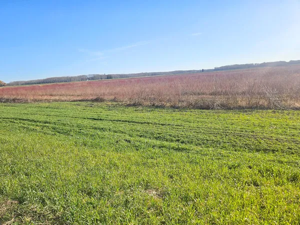 $274,999 | Tbd Tbd Tbd, Newfolden, MN 56738