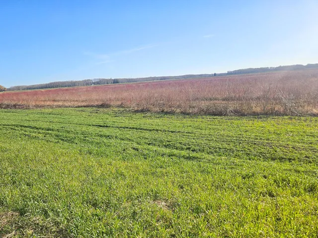 $299,000 | Tbd Tbd Tbd, Newfolden, MN 56738