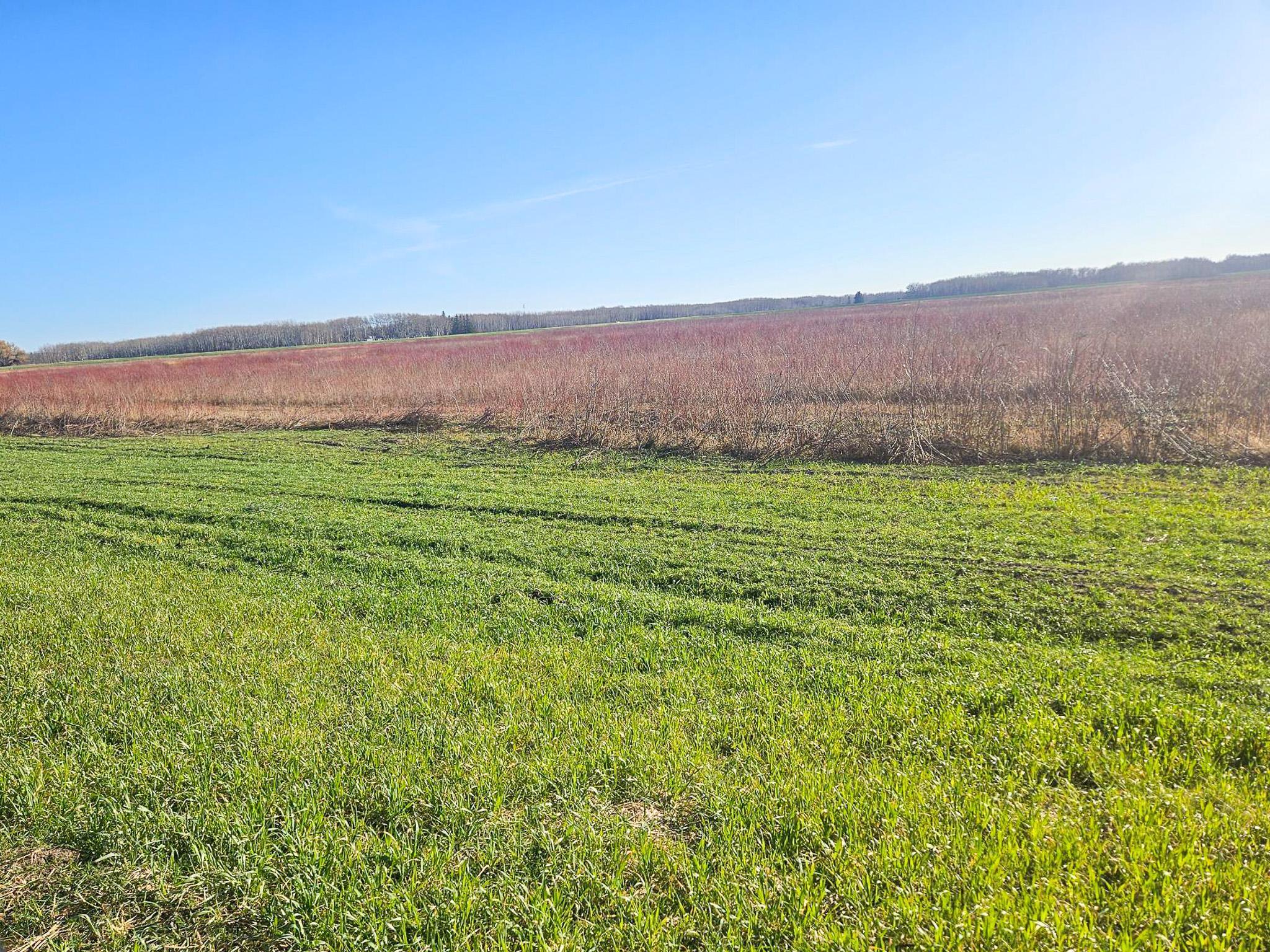 Tbd Tbd Tbd Newfolden, MN 56738 - Photo 2 of 7