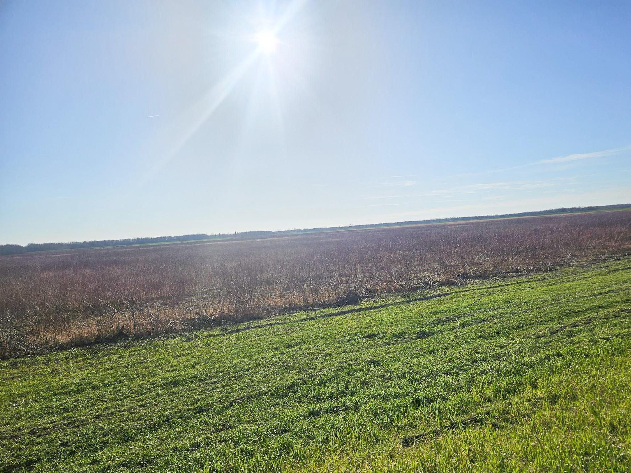 Tbd Tbd Tbd Newfolden, MN 56738 - Photo 3 of 7