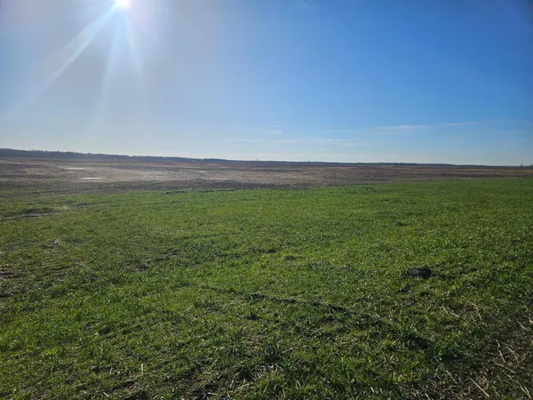 $274,999 | Tbd Tbd Tbd, Newfolden, MN 56738