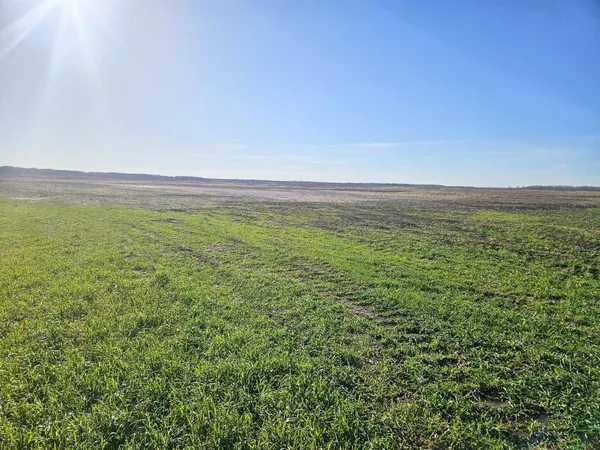 $274,999 | Tbd Tbd Tbd, Newfolden, MN 56738