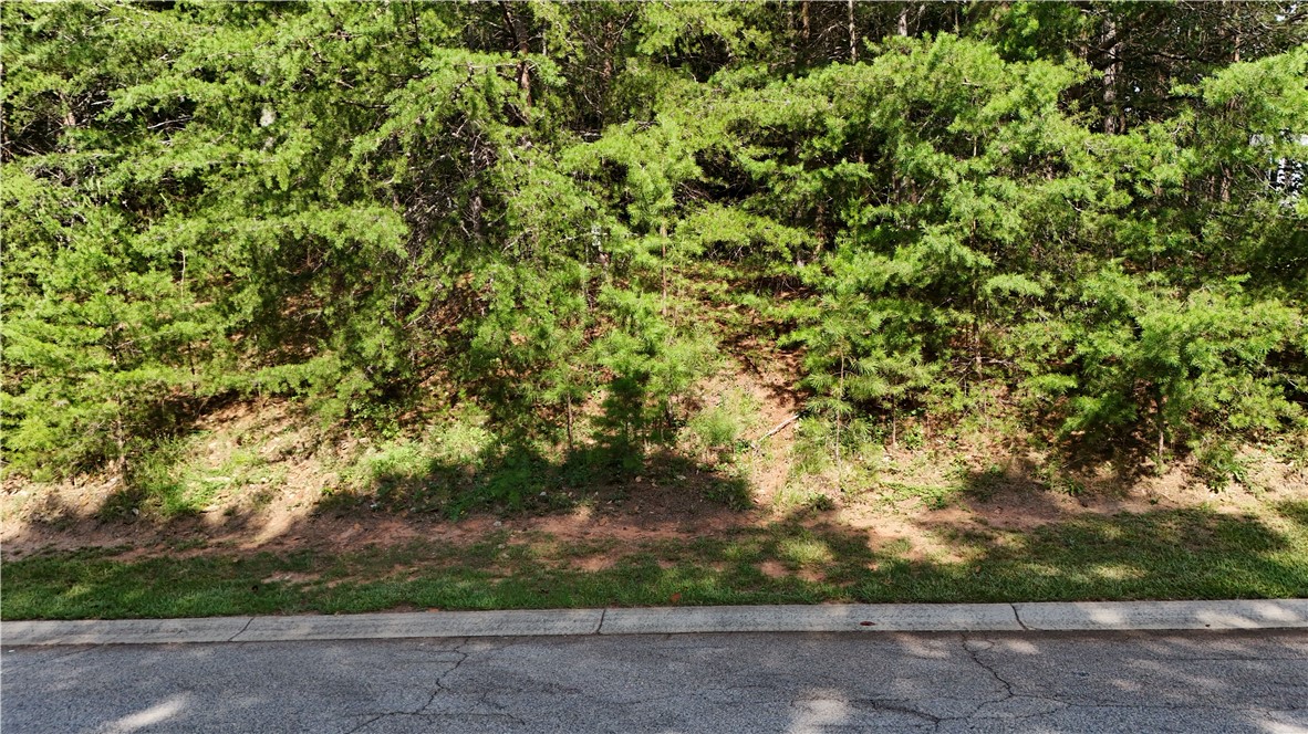 0 Stardust Lane Seneca, SC 29672 - Photo 16 of 21 Gallery Image 16