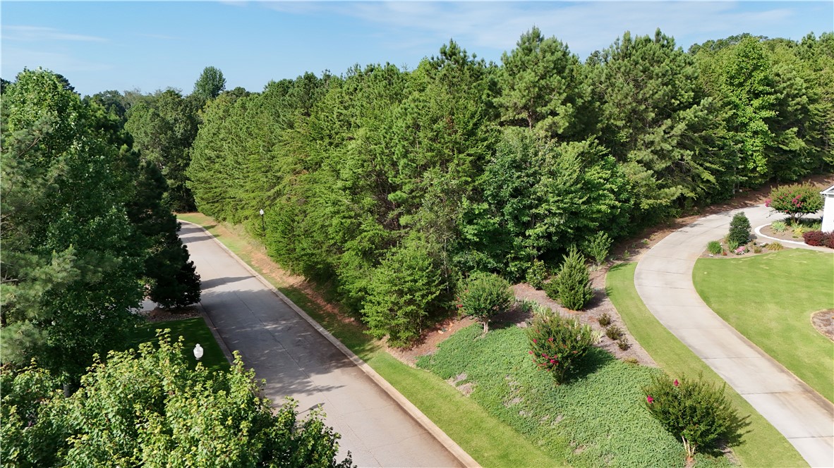 0 Stardust Lane Seneca, SC 29672 - Photo 8 of 21 Gallery Image 8