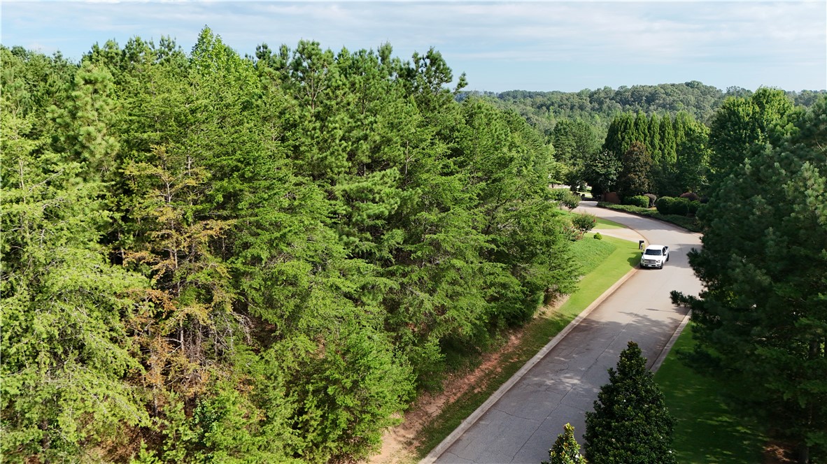 0 Stardust Lane Seneca, SC 29672 - Photo 9 of 21 Gallery Image 9