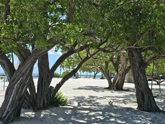 $724,000 | 220 West Indies Road, Tavernier, FL 33070