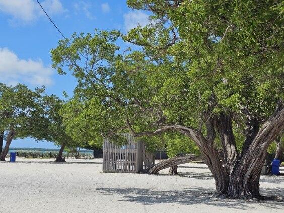 220 West Indies Road Tavernier, FL 33070 - Photo 38 of 40 image000004 2