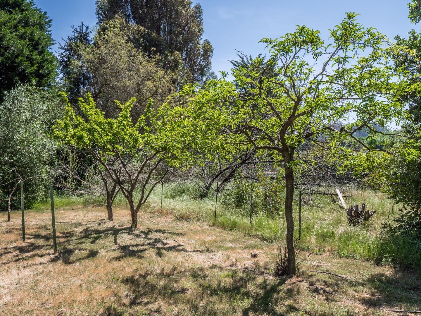 50 Browns Valley Road Corralitos, CA 95076 - Photo 17 of 50 Gallery Image 17