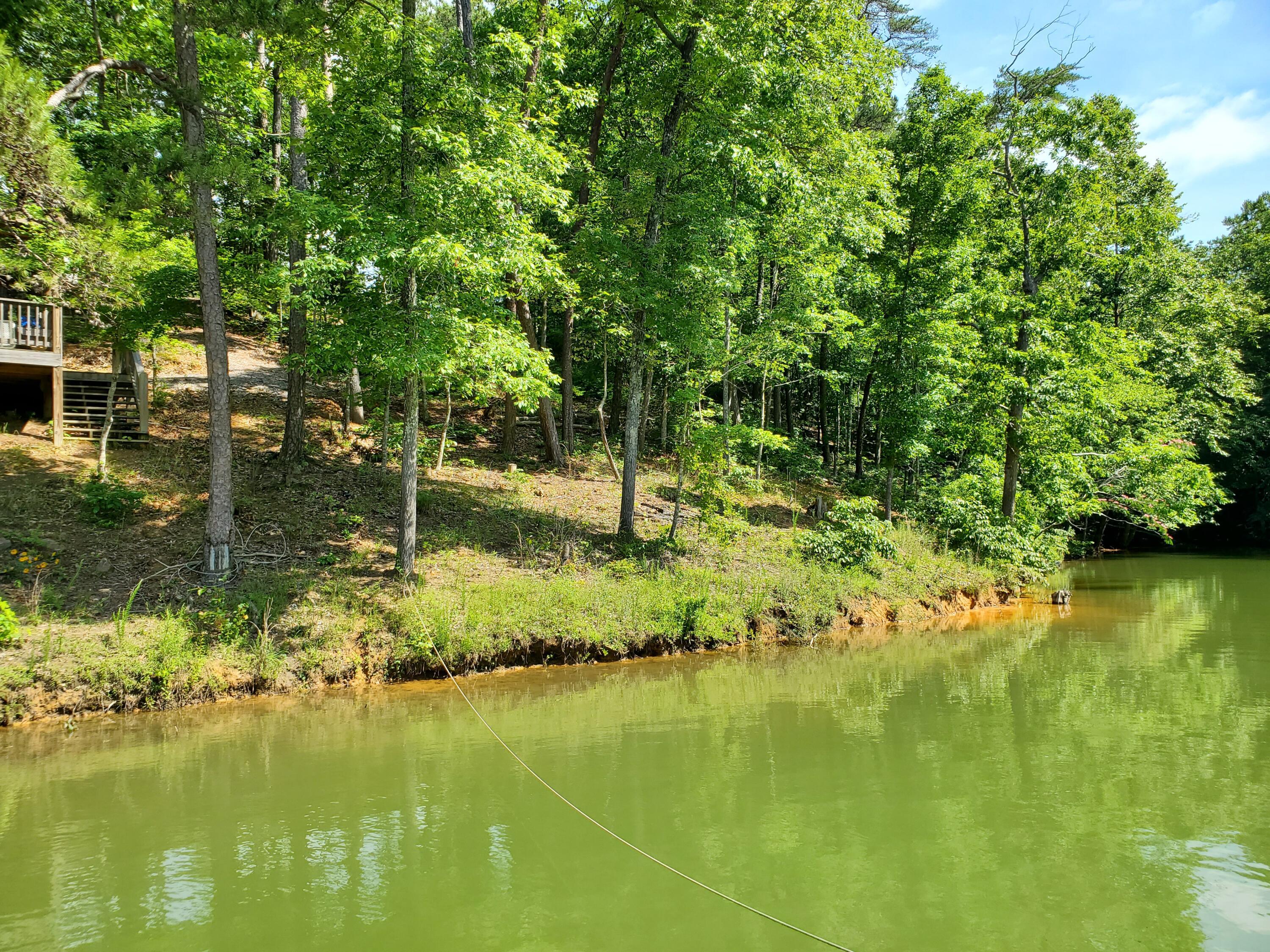 9 Sipsey Pines Road Arley, AL 35541 - Photo 7 of 12 Gallery Image 7