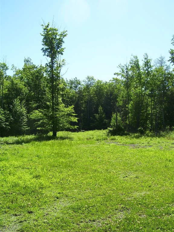 614 Neff Hill Road Bainbridge, NY 13733 - Photo 11 of 15