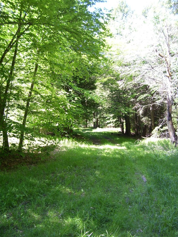 614 Neff Hill Road Bainbridge, NY 13733 - Photo 12 of 15