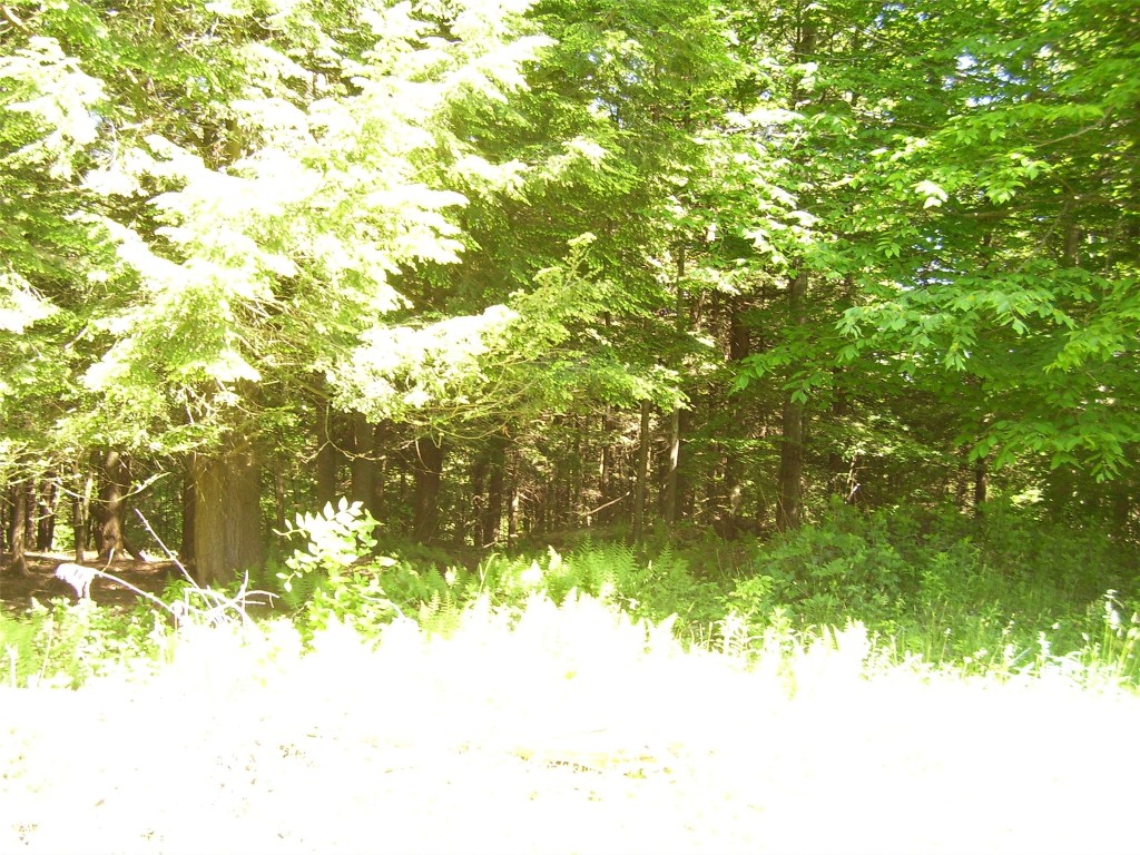 614 Neff Hill Road Bainbridge, NY 13733 - Photo 13 of 15