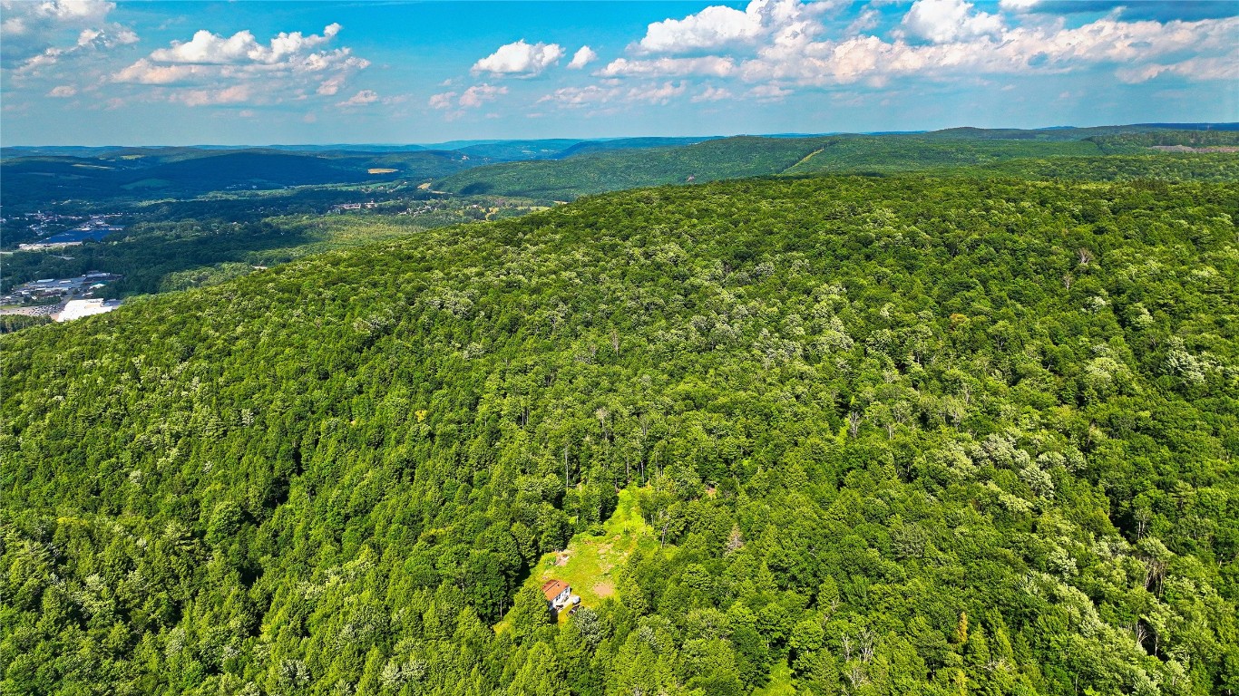 614 Neff Hill Road Bainbridge, NY 13733 - Photo 15 of 15