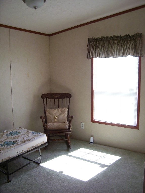 614 Neff Hill Road Bainbridge, NY 13733 - Photo 7 of 15