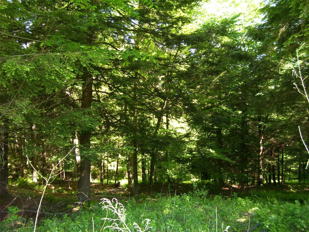 614 Neff Hill Road Bainbridge, NY 13733 - Photo 9 of 15