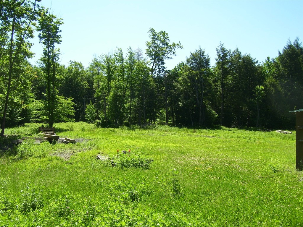 614 Neff Hill Road Bainbridge, NY 13733 - Photo 10 of 15