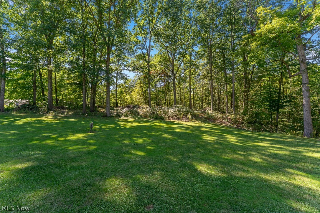 4105 Smith-Stewart Road Vienna, OH 44473 - Photo 17 of 21 Gallery Image 17