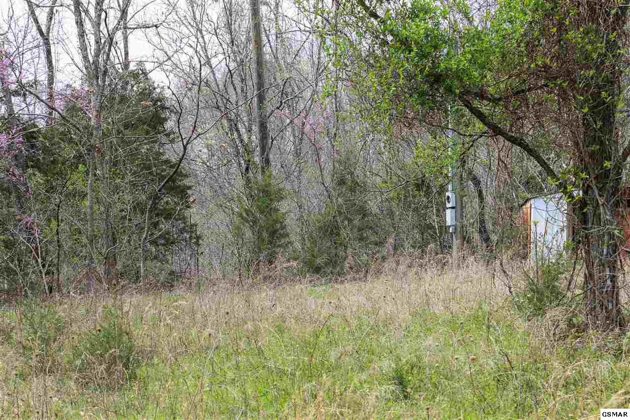 1940 Long Branch Road Seymour, TN 37865 - Photo 11 of 35 Gallery Image 11