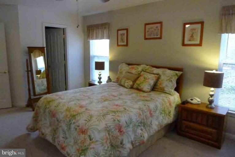 6295 Patuxent Quarter Road Hanover, MD 21076 - Photo 12 of 22 Master Bedroom