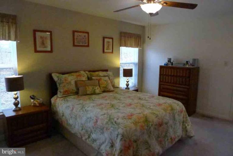 6295 Patuxent Quarter Road Hanover, MD 21076 - Photo 13 of 22 Master Bedroom #2