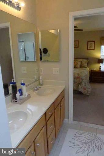 6295 Patuxent Quarter Road Hanover, MD 21076 - Photo 10 of 22 Master Bath