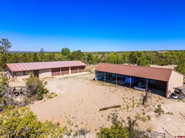 a view of tree covered with trees