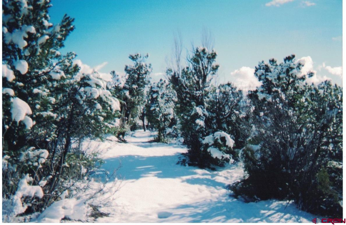 27255 Rd P Dolores, CO 81323 - Photo 25 of 45