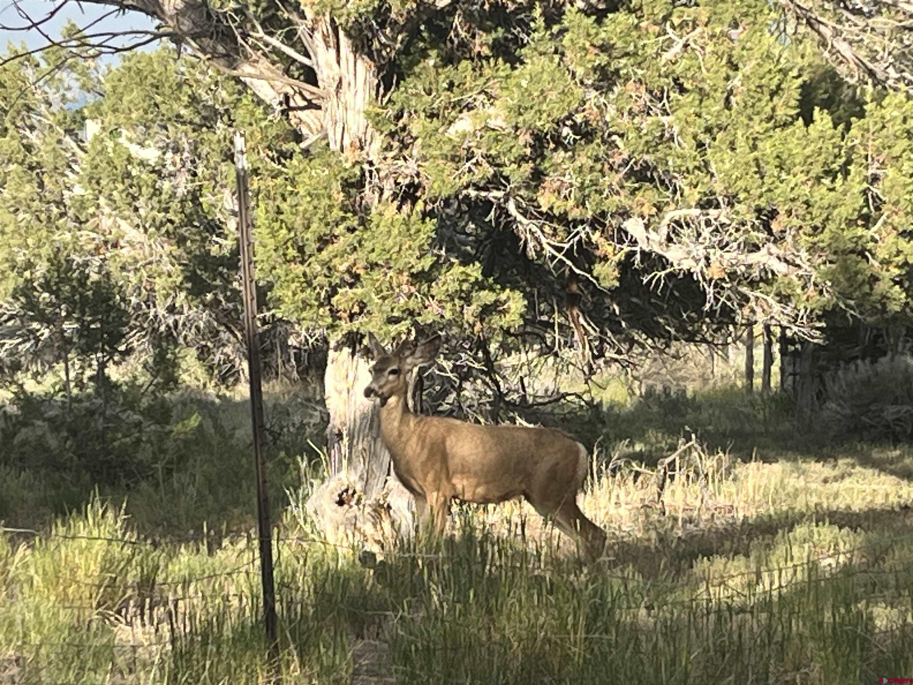 27255 Rd P Dolores, CO 81323 - Photo 38 of 45 a view of lake with green space