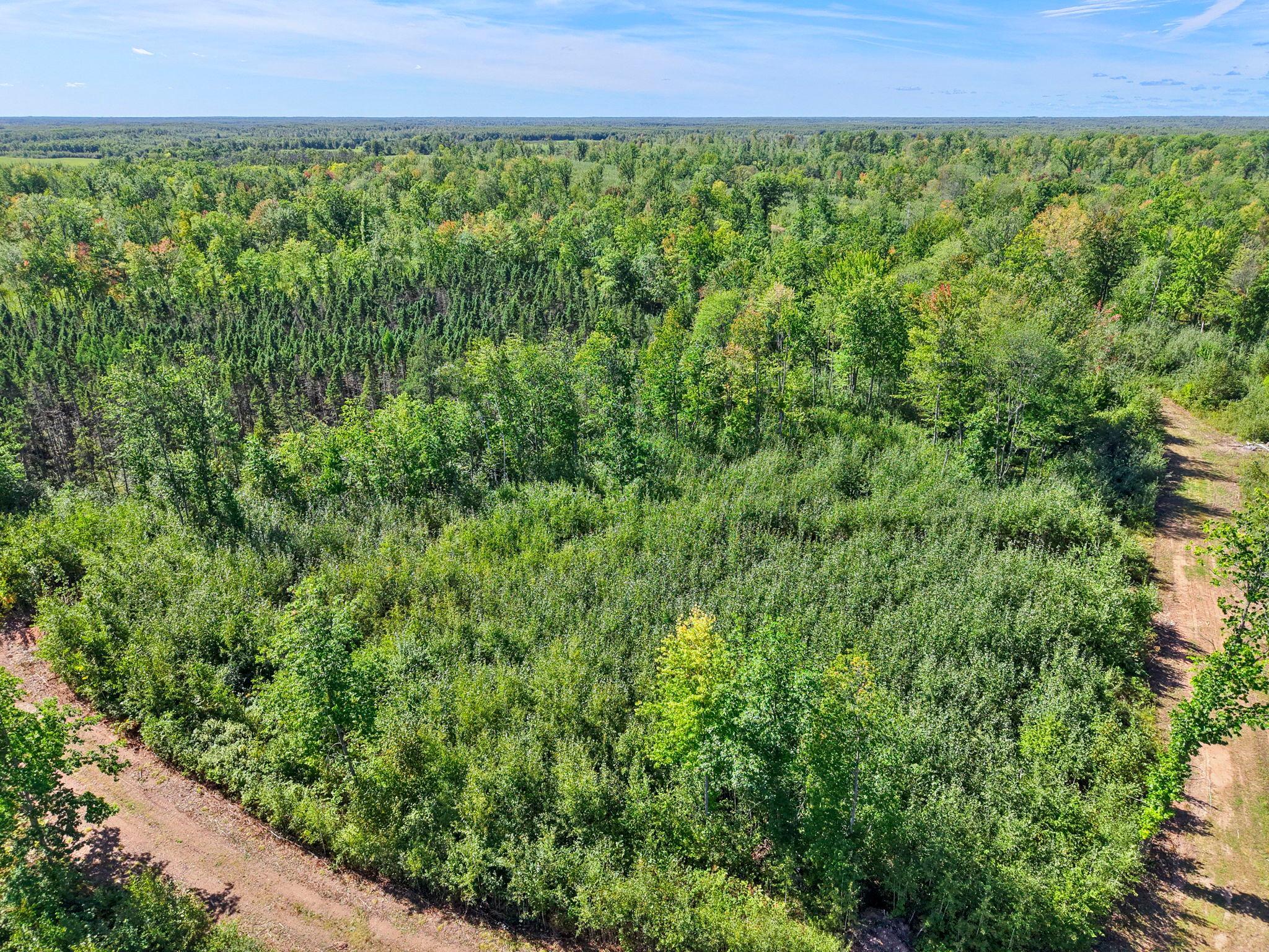 Xxx Fleming Logging Road Hinckley, MN 55037 - Photo 15 of 87 Gallery Image 15