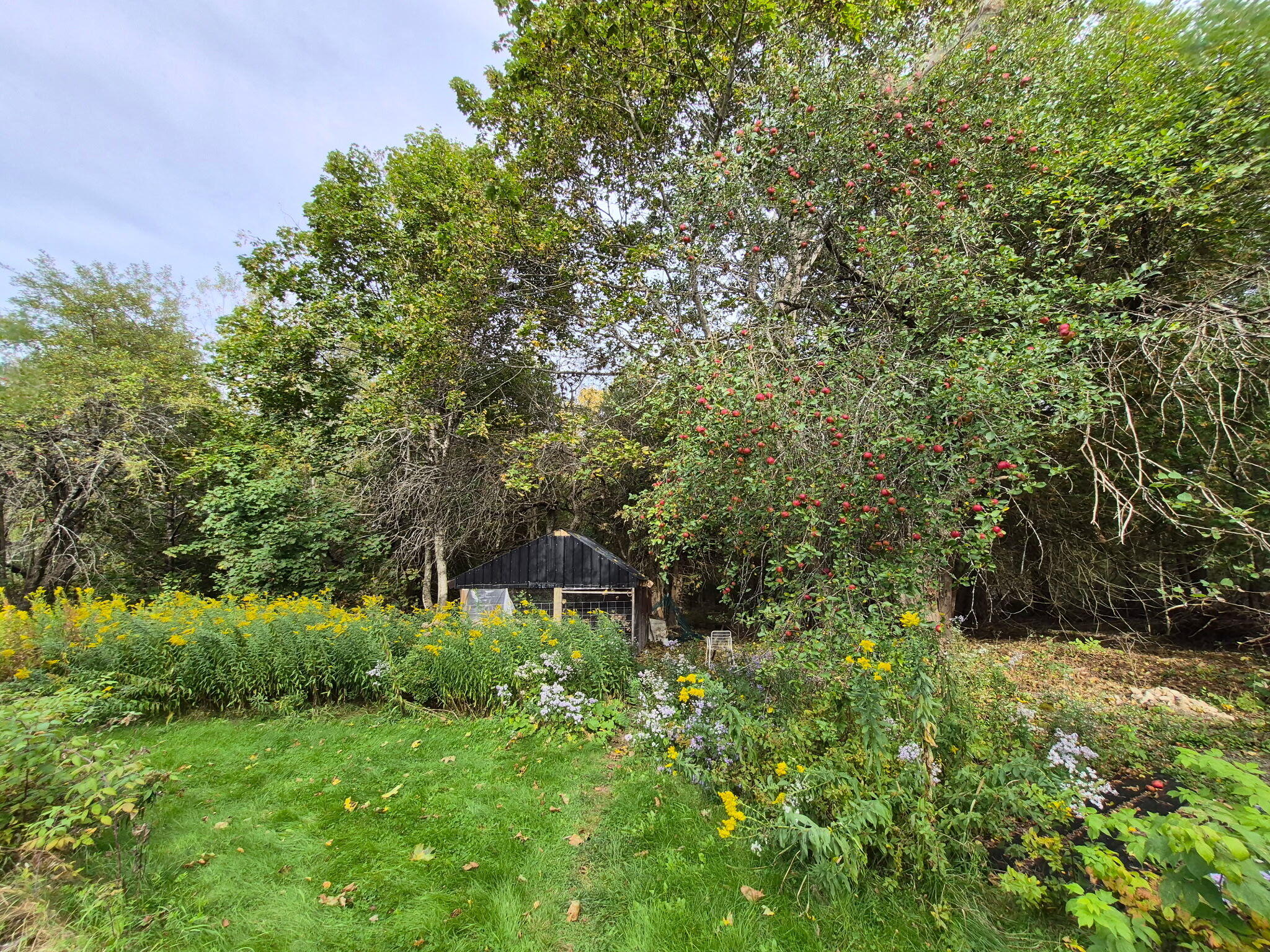 72 Carson Road Calais, ME 04619 - Photo 33 of 42 3252