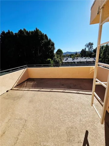 a close view of shrubs