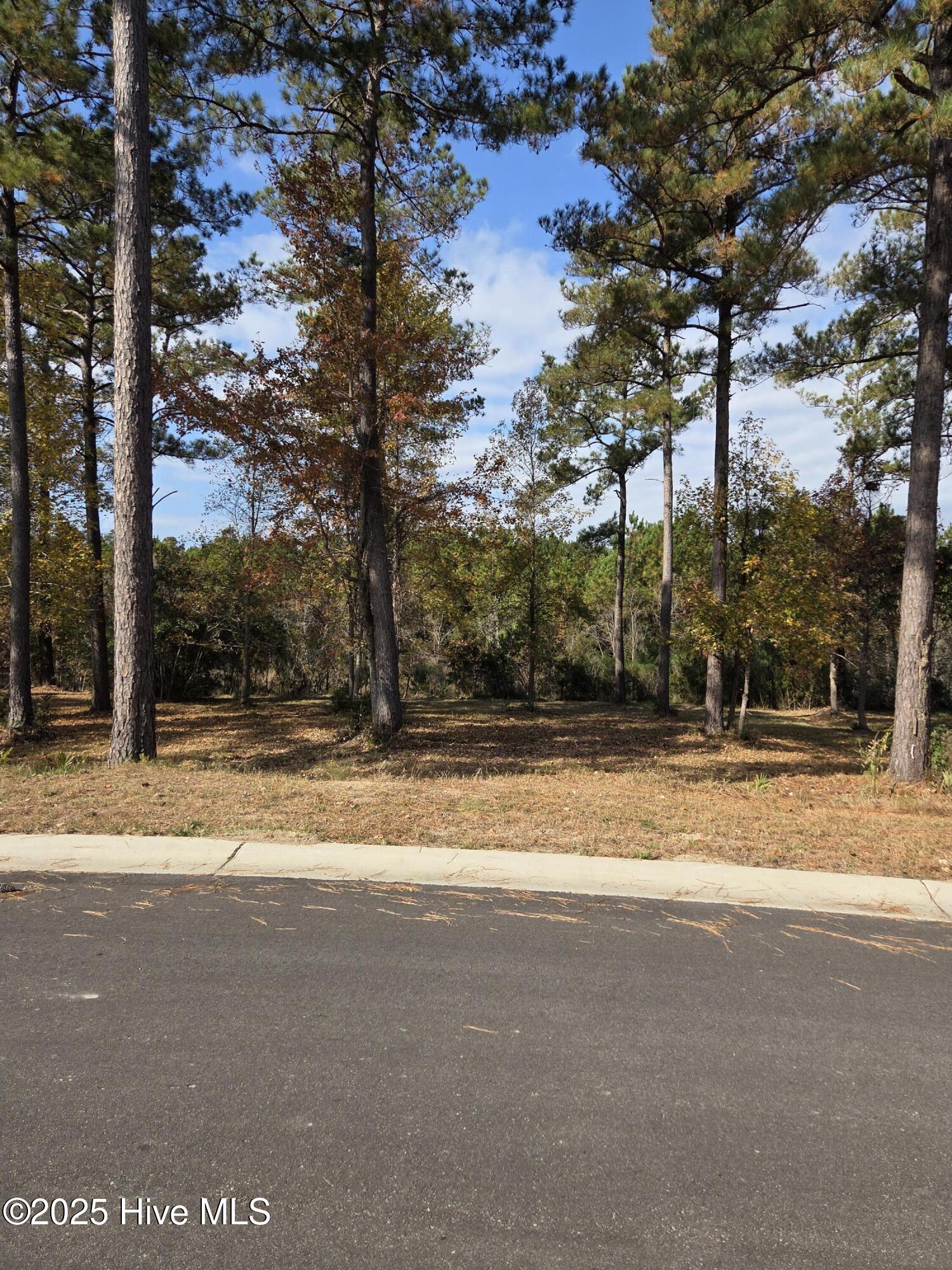 7475 Donegal Circle Southwest Sunset Beach, NC 28468 - Photo 4 of 4 20251119_114101