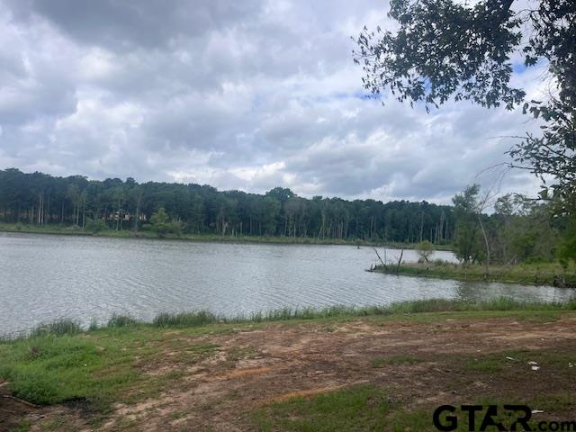 Tbd High Pnes Drive Tyler, TX 75708 - Photo 9 of 11 a view of a lake from a yard