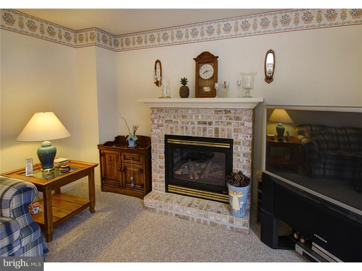 1121 Tuckerton Road Reading, PA 19605 - Photo 7 of 24 Fireplace