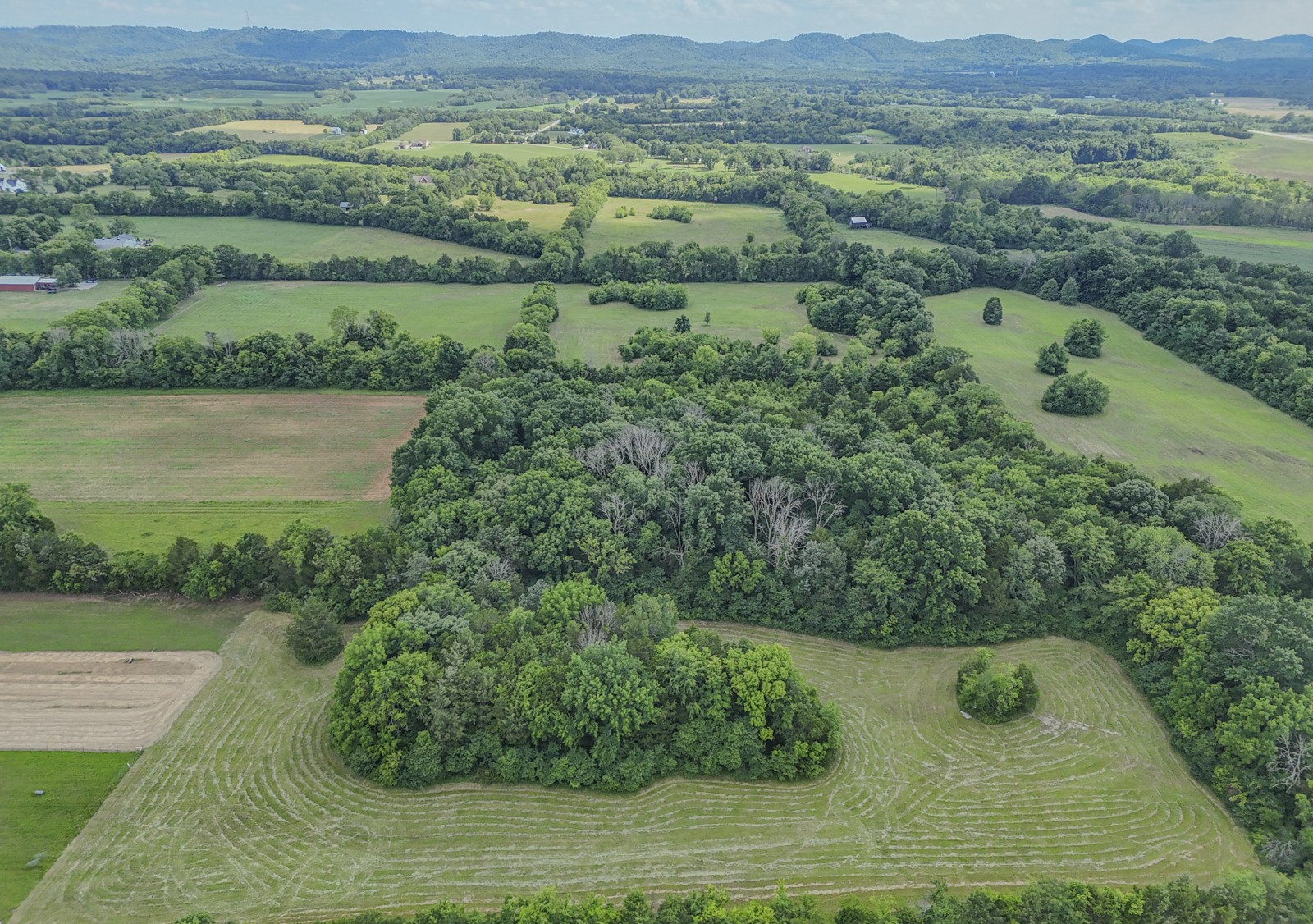 7068 Miller Road Christiana, TN 37037 - Photo 13 of 21 an aerial view of mountain with trees in the background