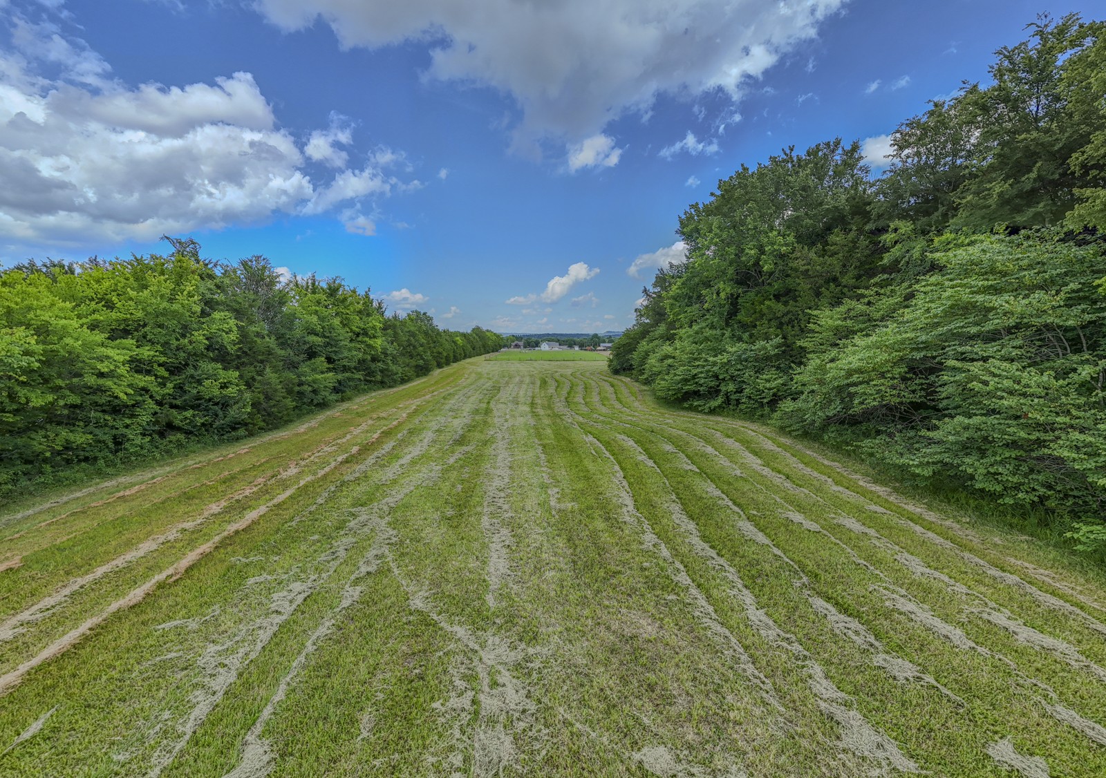 7068 Miller Road Christiana, TN 37037 - Photo 8 of 21 a view of a yard