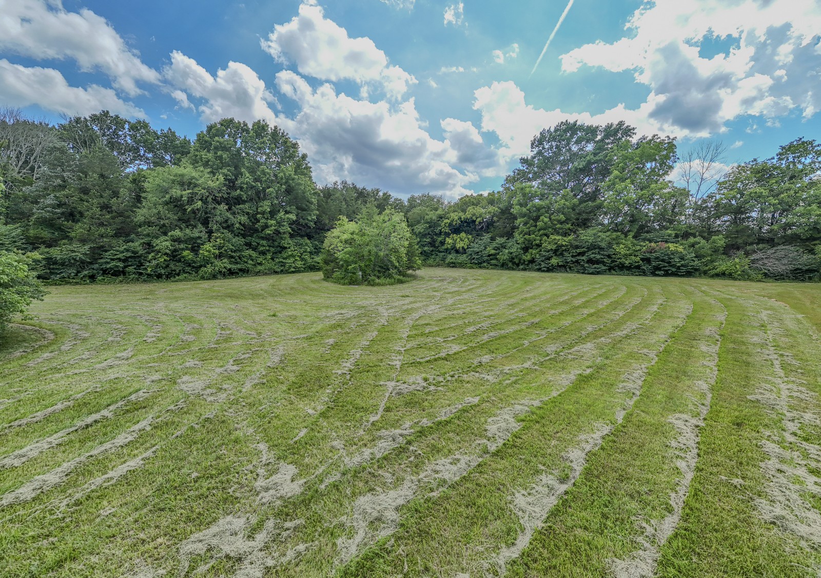 7068 Miller Road Christiana, TN 37037 - Photo 9 of 21 a view of a big yard with an outdoor space