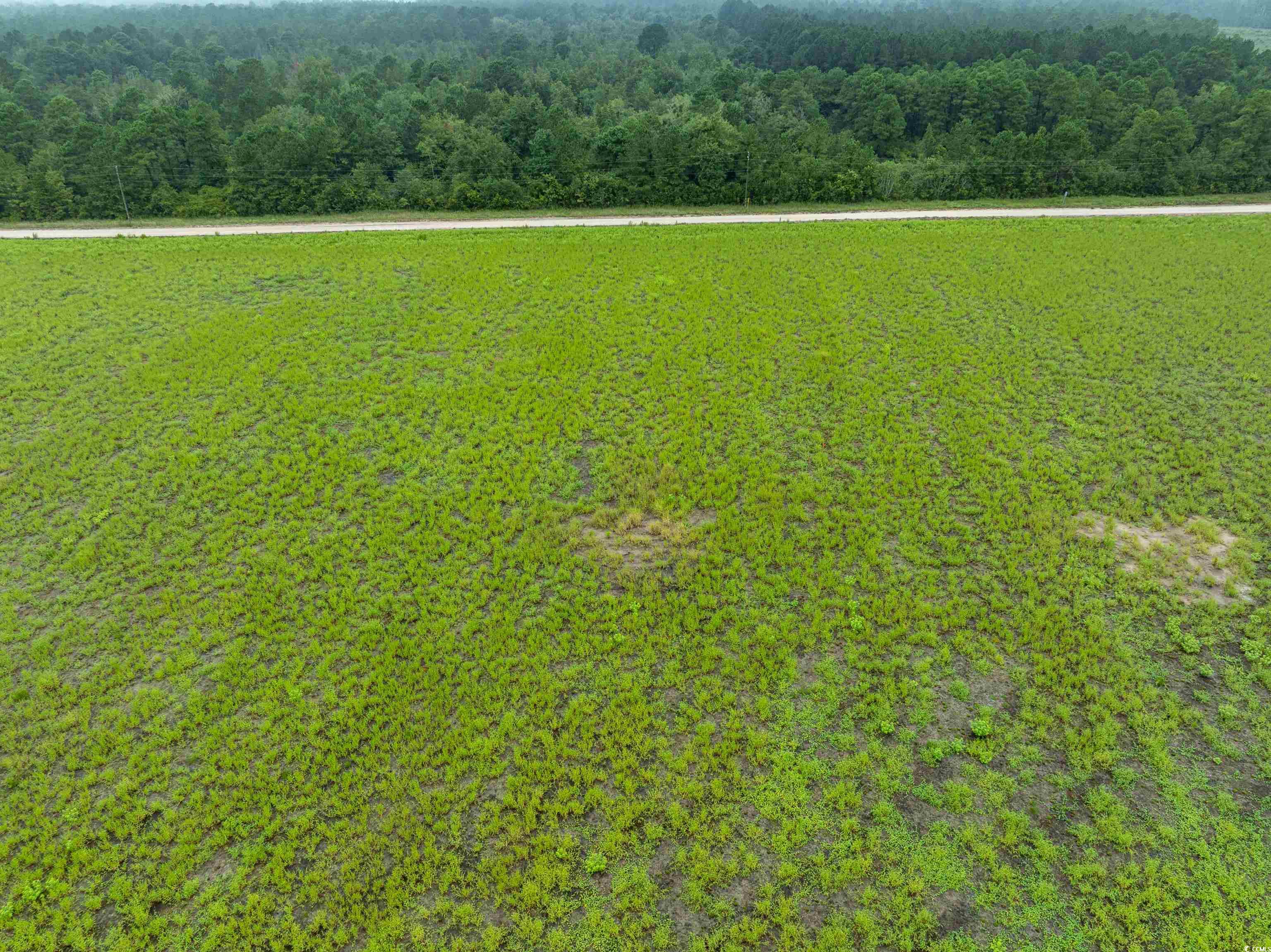 Tbd Lot 4 Tbd Road Loris, SC 29569 - Photo 2 of 3 Aerial view of a heavily wooded area