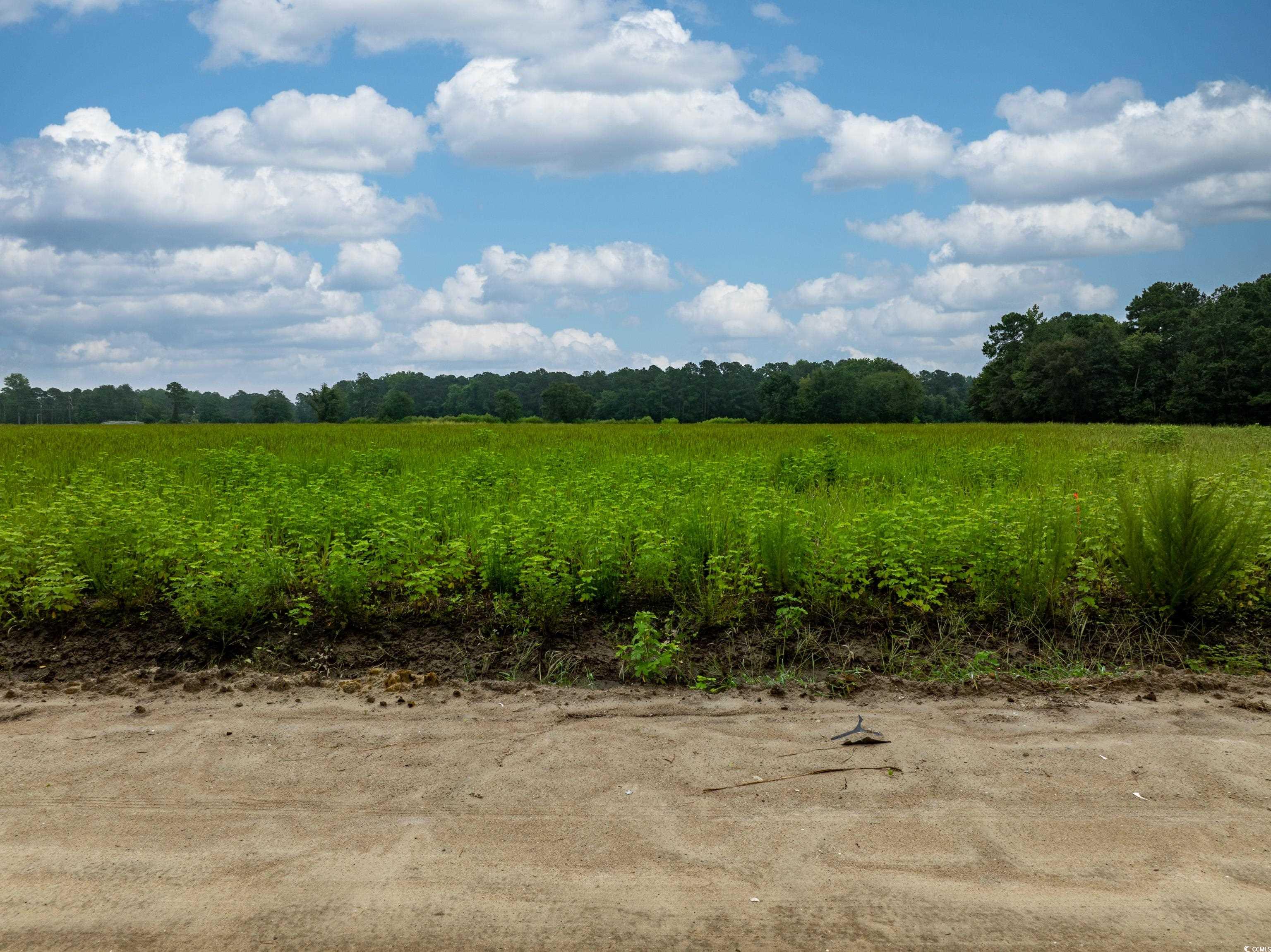 Tbd Lot 4 Tbd Road Loris, SC 29569 - Photo 3 of 3 View of nature featuring rural landscape