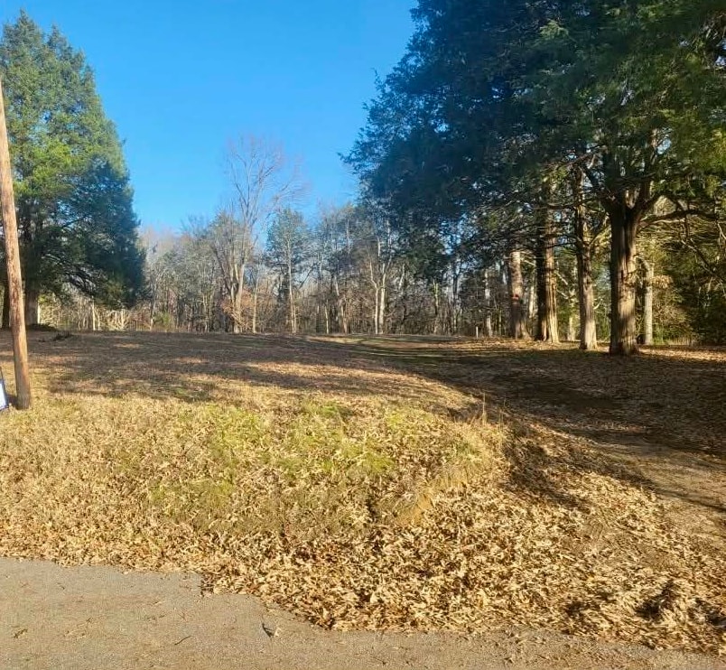 Kay Lane Somerville, TN 38068 - Photo 9 of 19 a view of yard with large trees