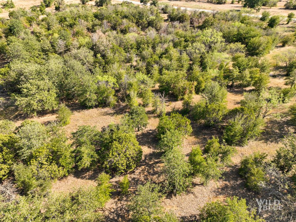 24 New Hope Road Palo Pinto, TX 76484 - Photo 7 of 9 a view of a bunch of trees and bushes