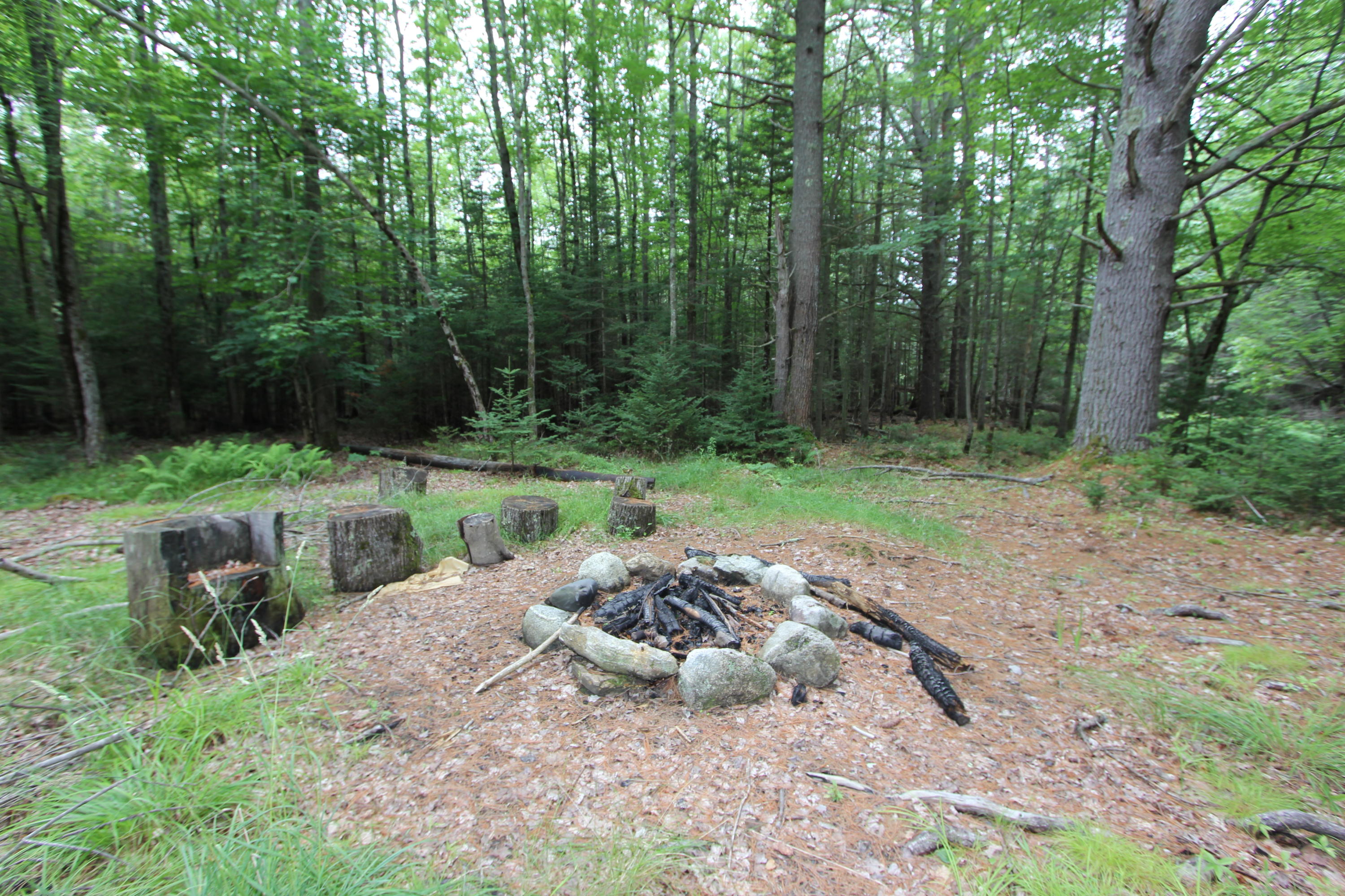 94 Collinsbrook Road Brunswick, ME 04011 - Photo 56 of 92 IMG_5181