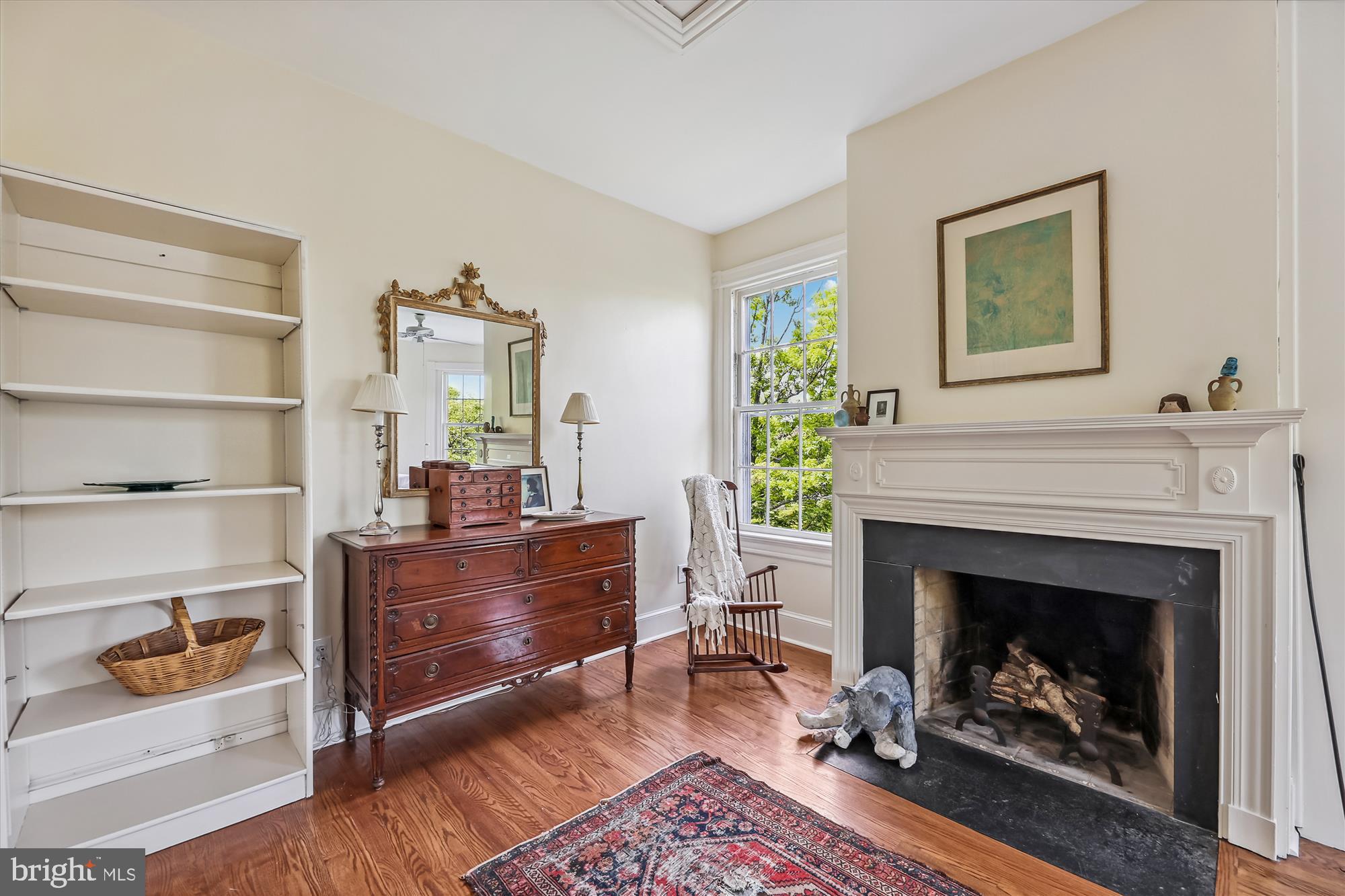 501 D Street Southeast Washington, DC 20003 - Photo 15 of 35 Fireplace